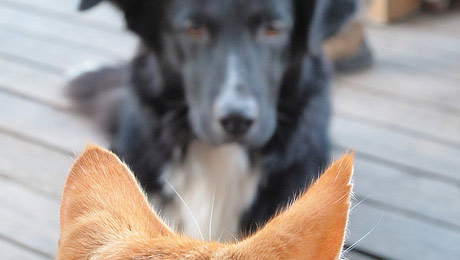 Find your character’s inner&nbsp;conflict