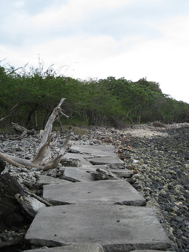 How to live according to your ideals