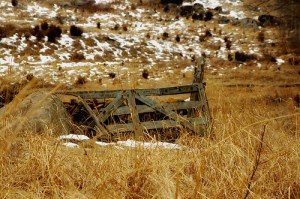 Leave the battle behind