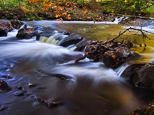 Observe your river of thoughts