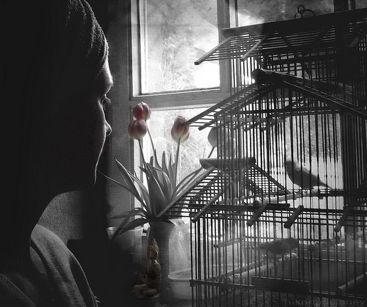 Metaphors, like myths, stimulate feelings and thoughts that the mind can comprehend, clarifying concepts that would otherwise be difficult to understand.