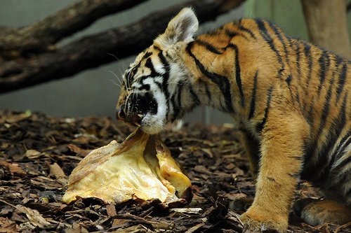 Acknowledge your pain